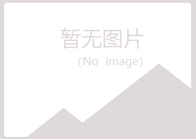 修武县夏岚能源有限公司